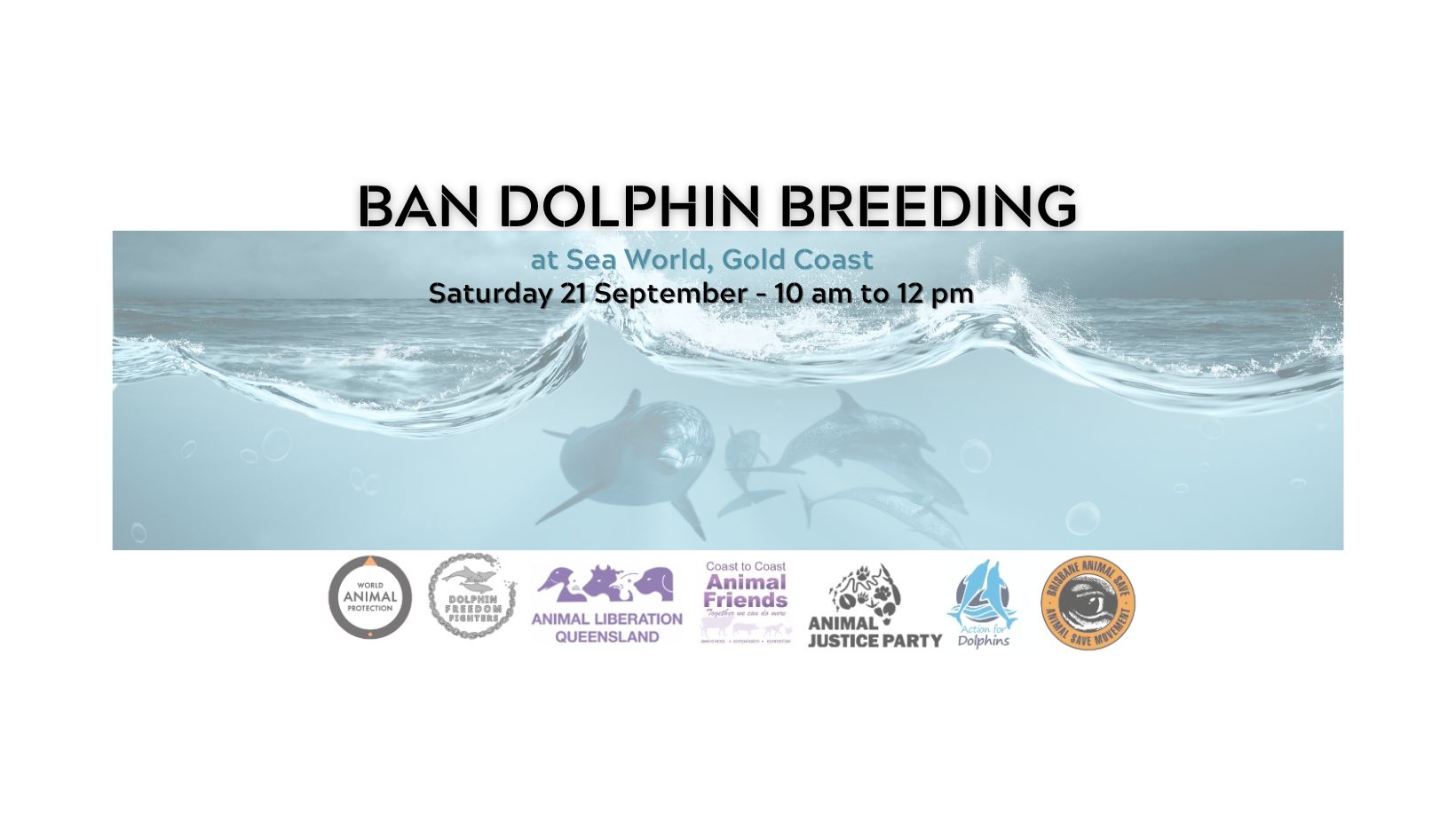 Dolphin Freedom Fighters