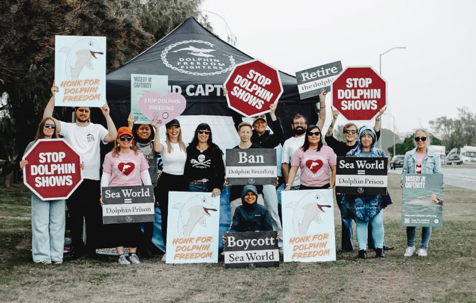 Dolphin Freedom Fighters