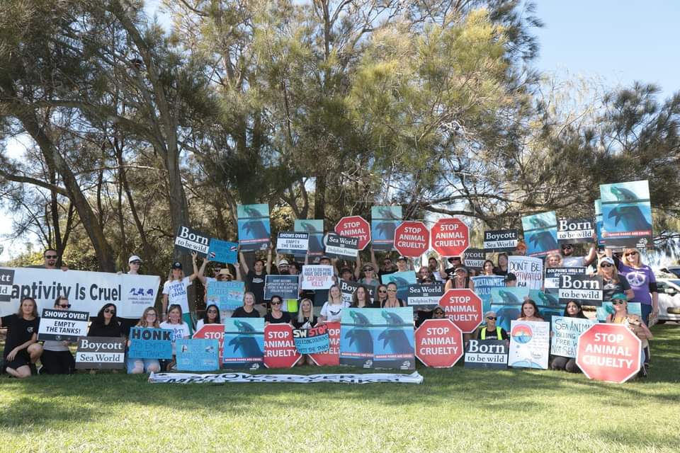 Dolphin Freedom Fighters