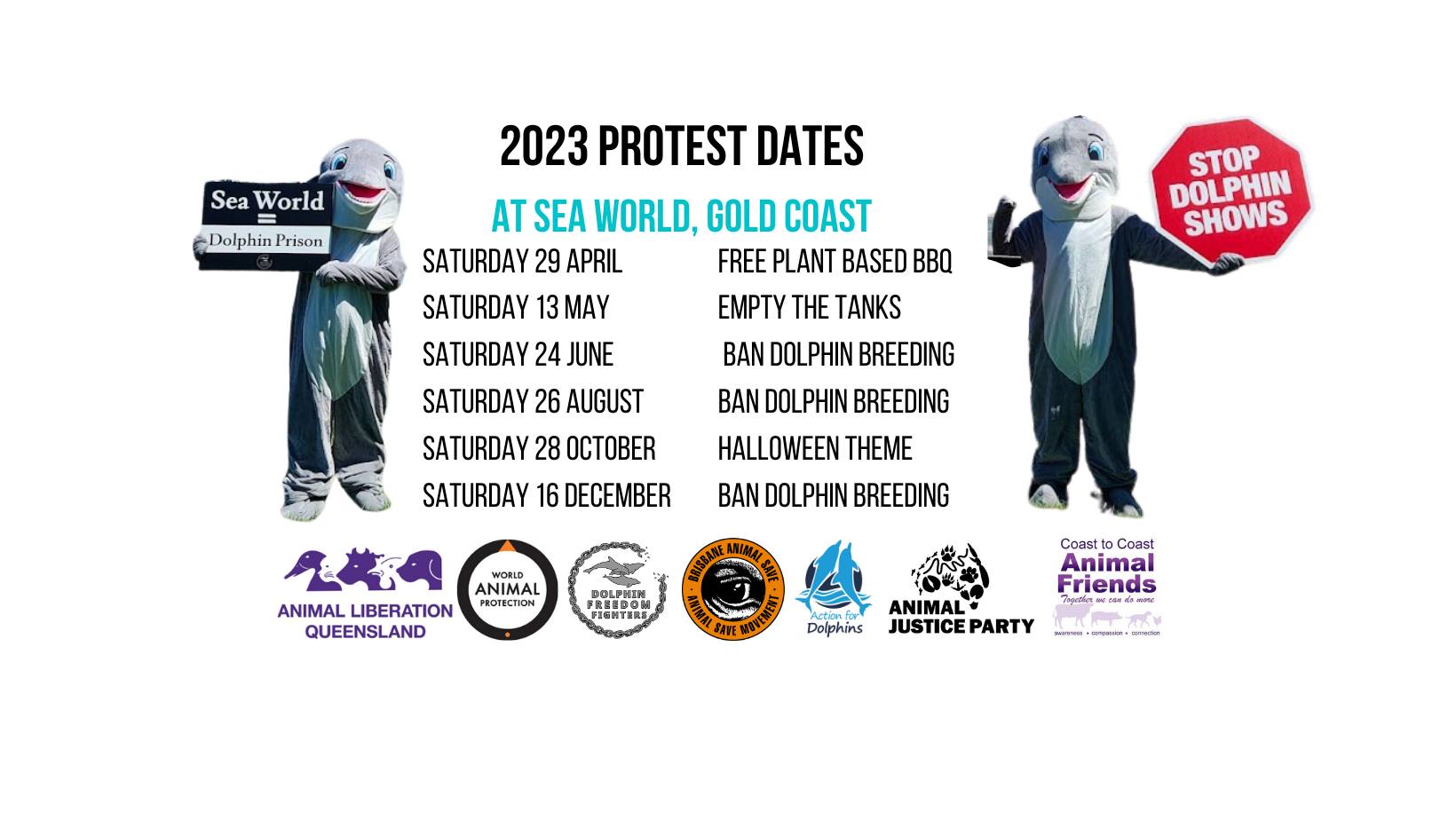 Dolphin Freedom Fighters