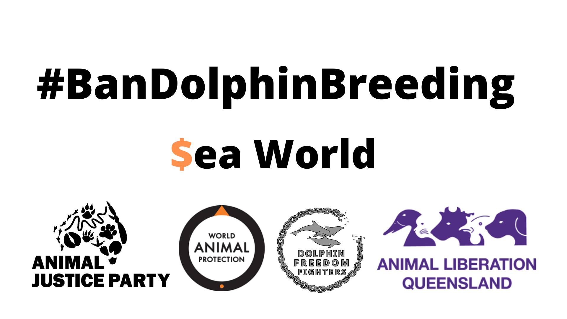 Dolphin Freedom Fighters