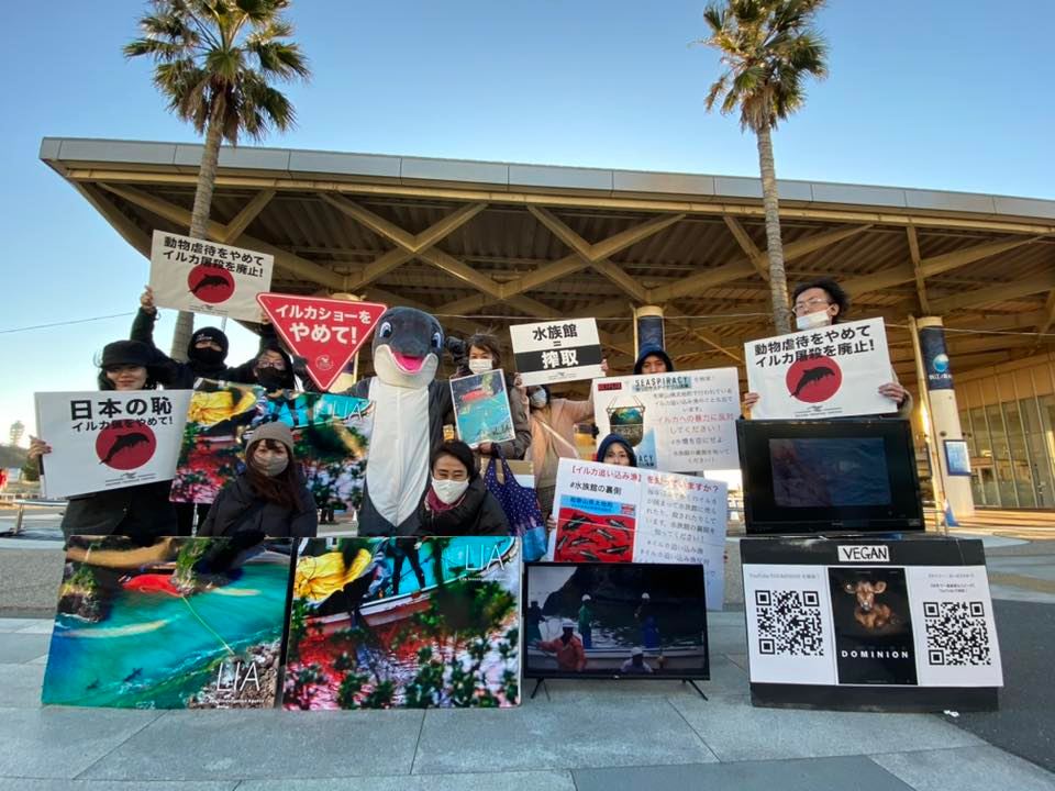 Dolphin Freedom Fighters