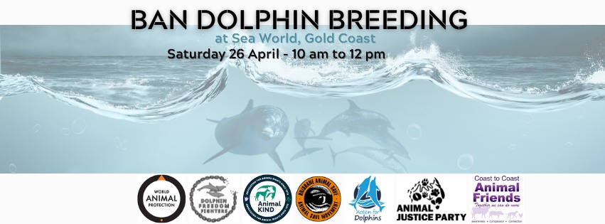 Dolphin Freedom Fighters