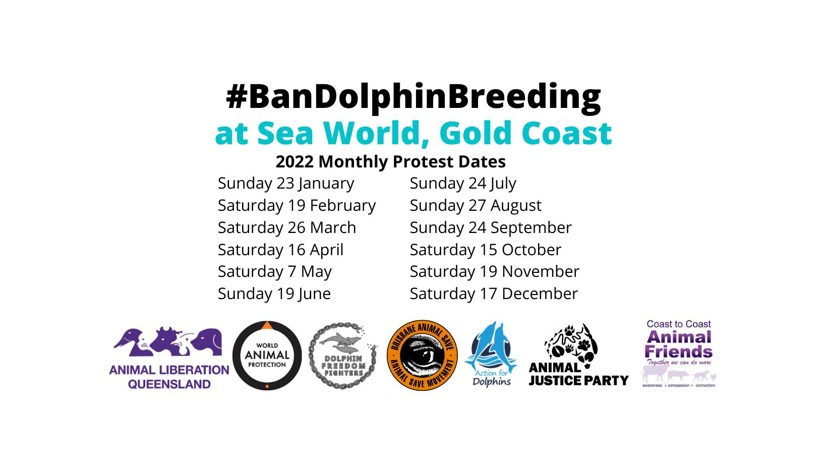 Dolphin Freedom Fighters