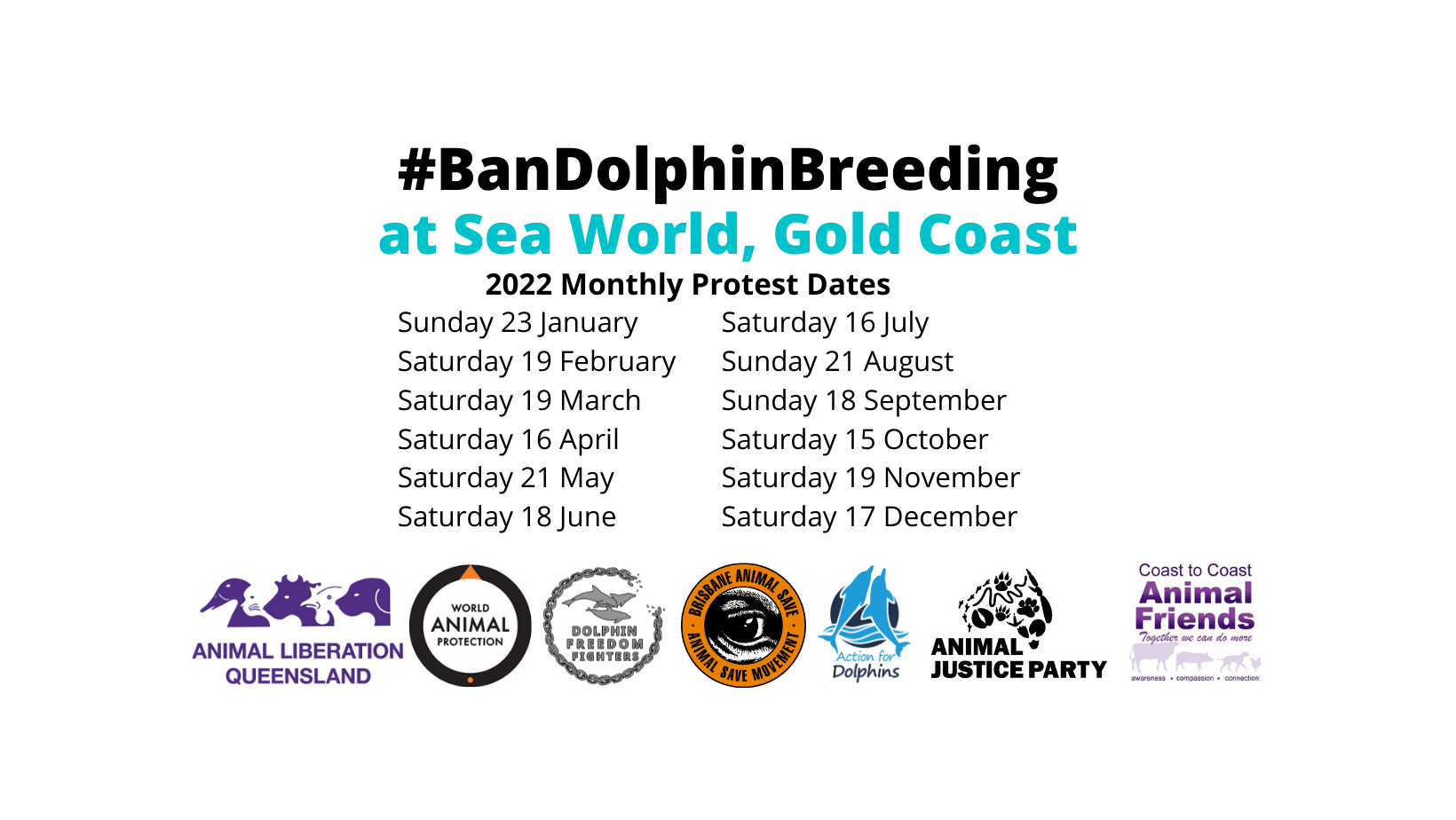 Dolphin Freedom Fighters