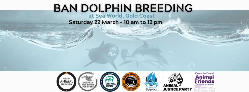 Dolphin Freedom Fighters