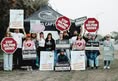 Dolphin Freedom Fighters