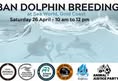 Dolphin Freedom Fighters