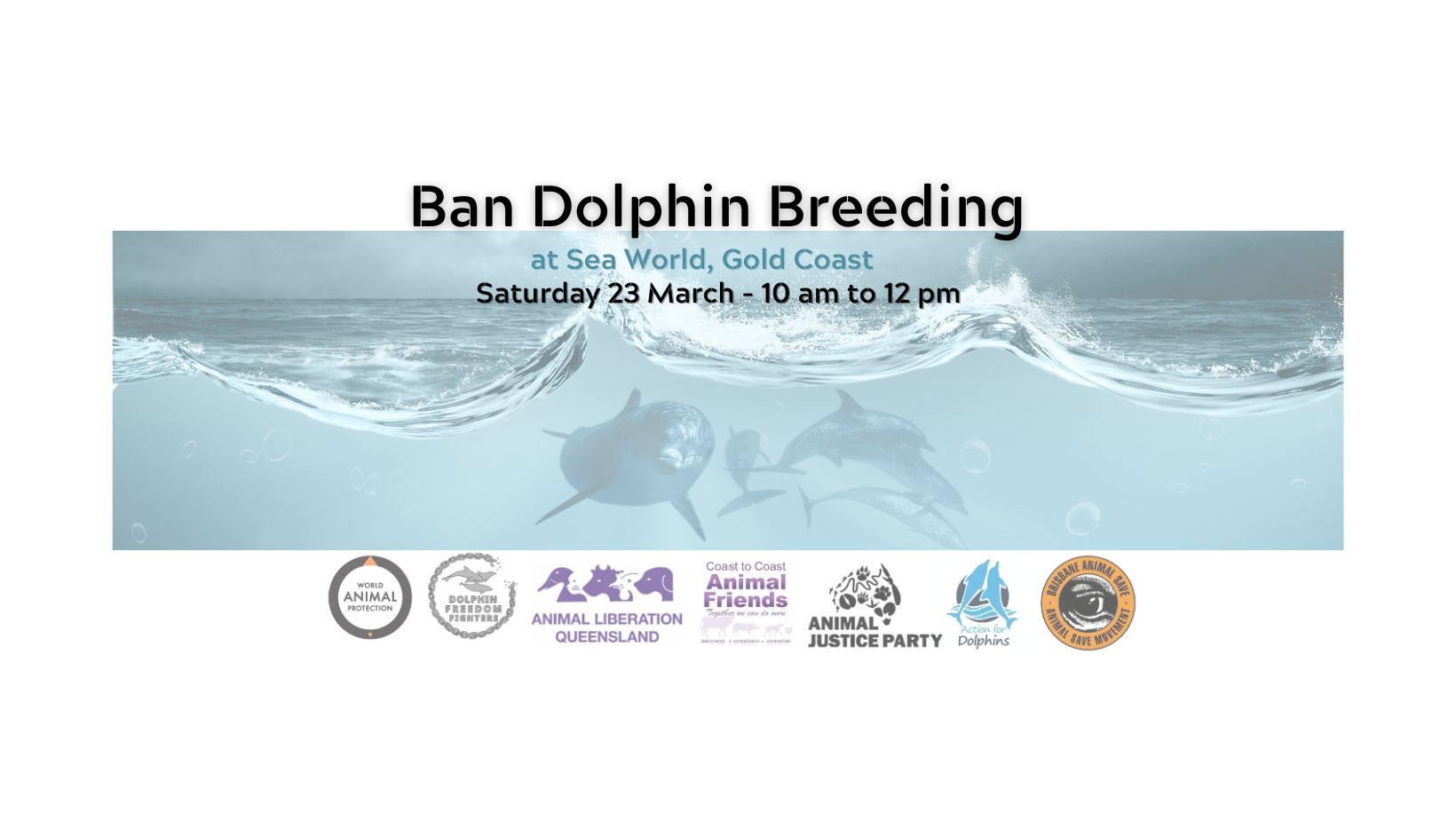 Dolphin Freedom Fighters