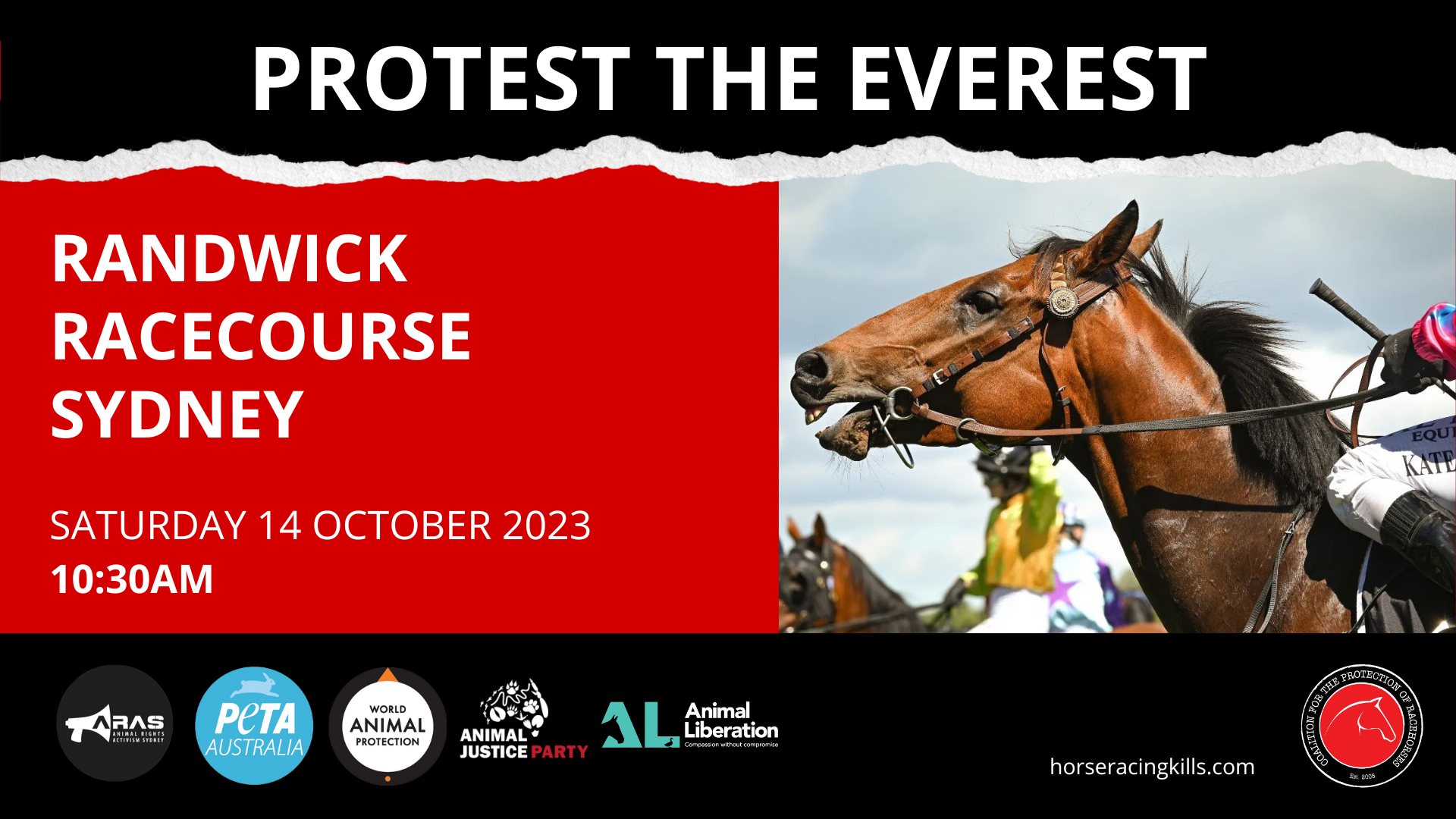 Coalition for the Protection of Racehorses
