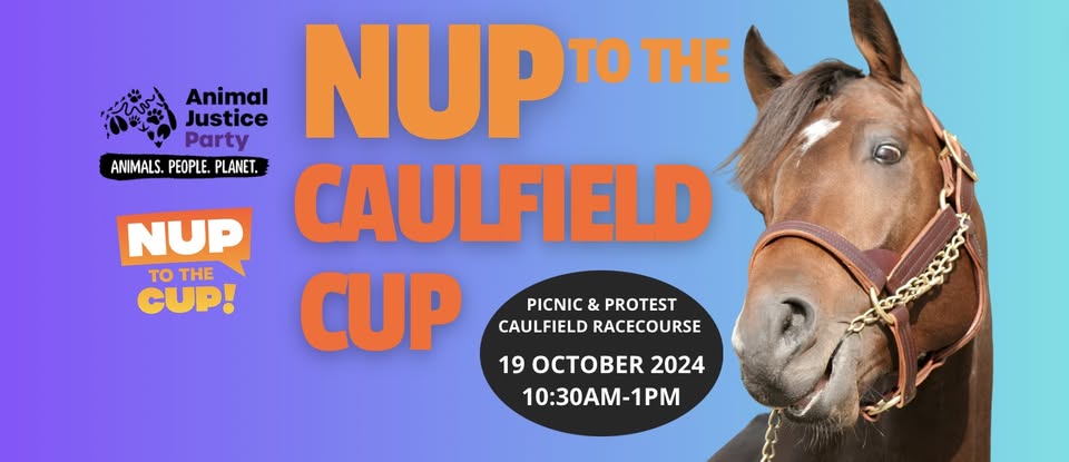 Coalition for the Protection of Racehorses