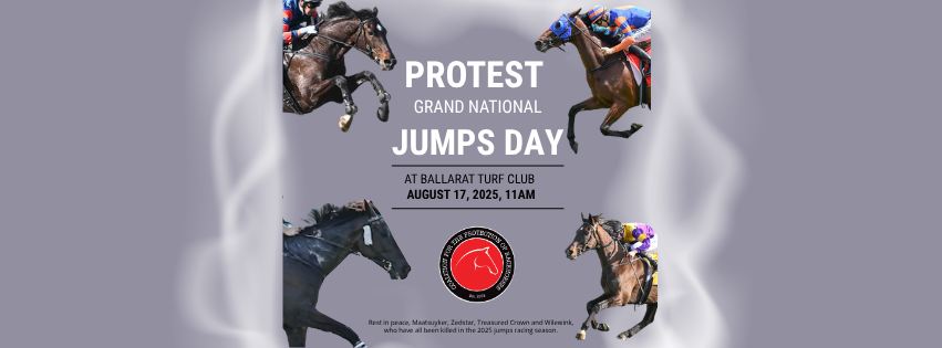 Coalition for the Protection of Racehorses
