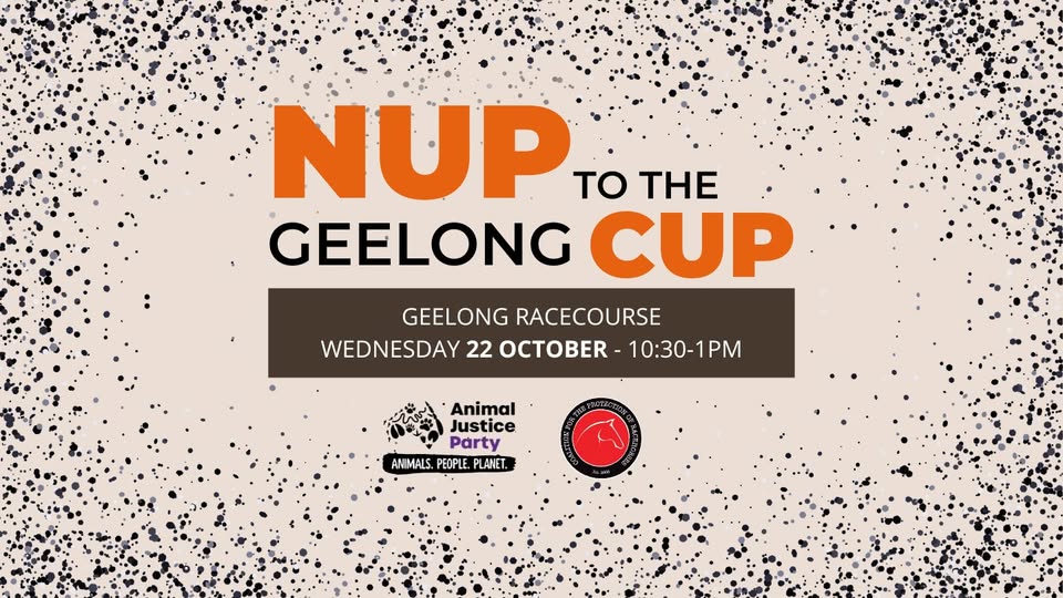 Coalition for the Protection of Racehorses