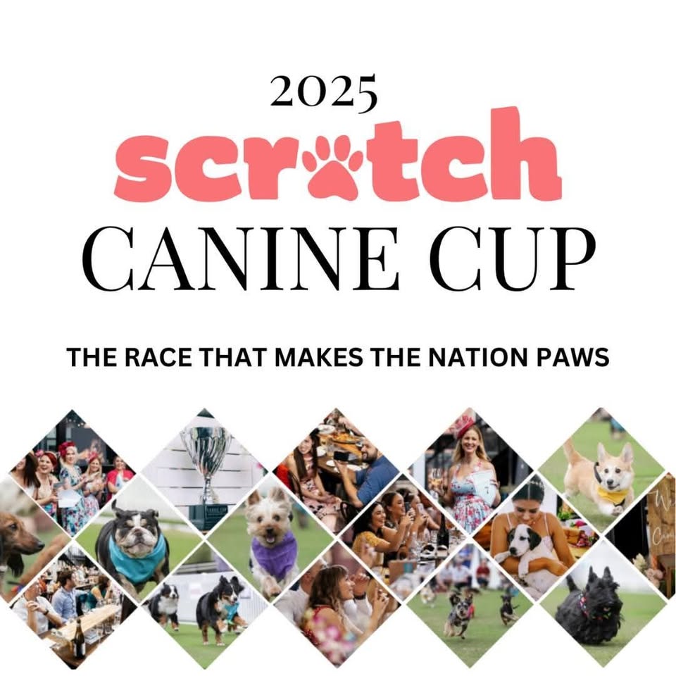 Coalition for the Protection of Racehorses
