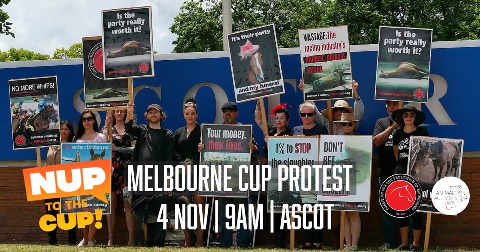 Coalition for the Protection of Racehorses