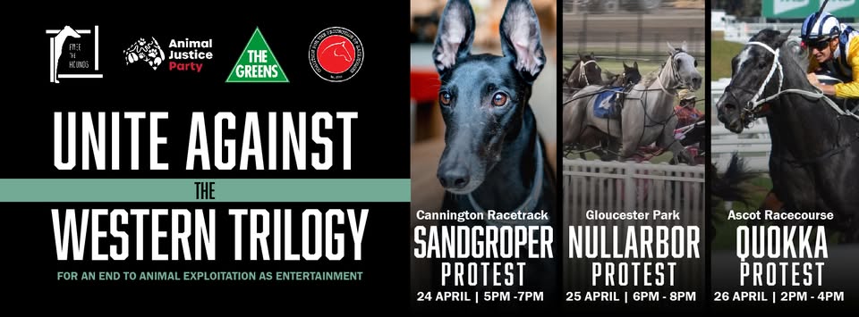 Coalition for the Protection of Racehorses