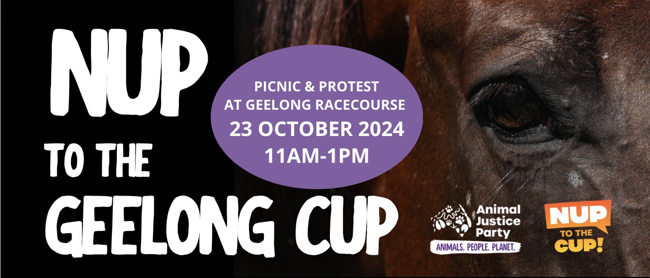 Coalition for the Protection of Racehorses
