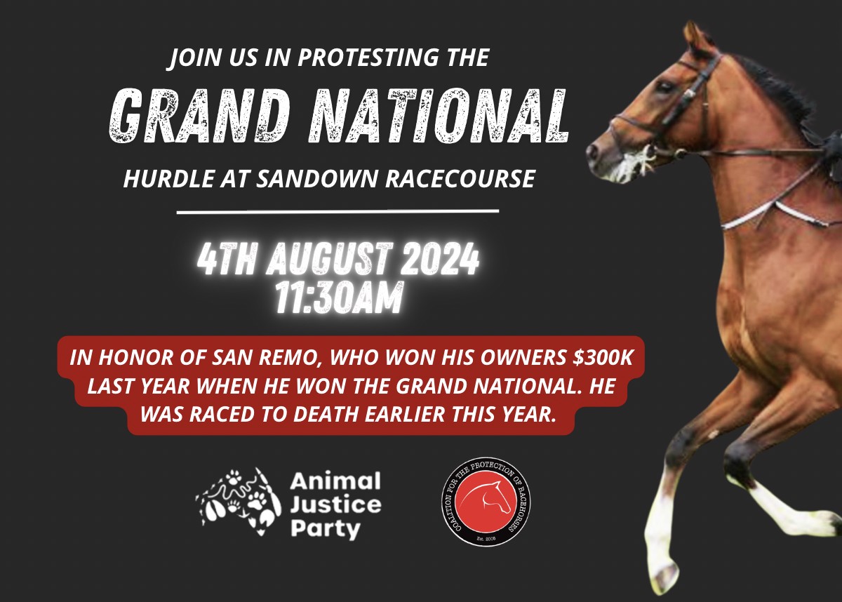 Coalition for the Protection of Racehorses