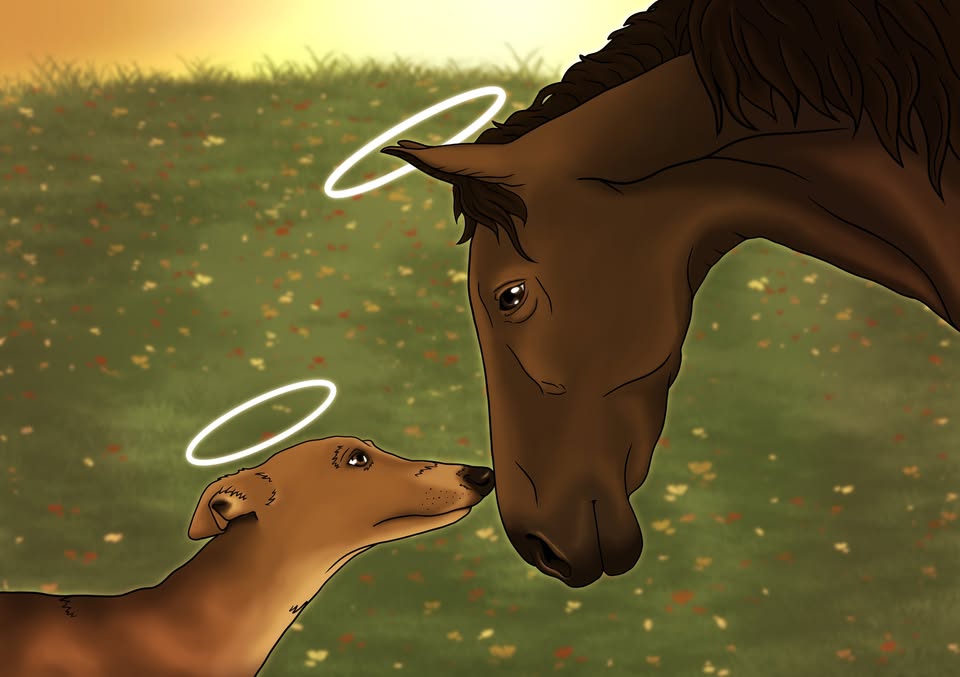 Coalition for the Protection of Racehorses