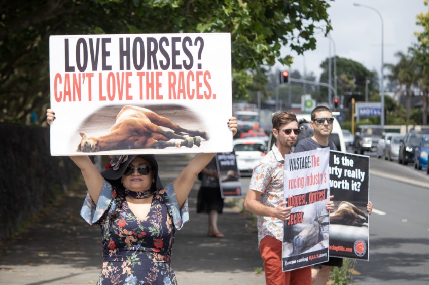 Coalition for the Protection of Racehorses