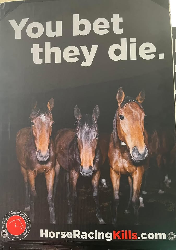 Coalition for the Protection of Racehorses