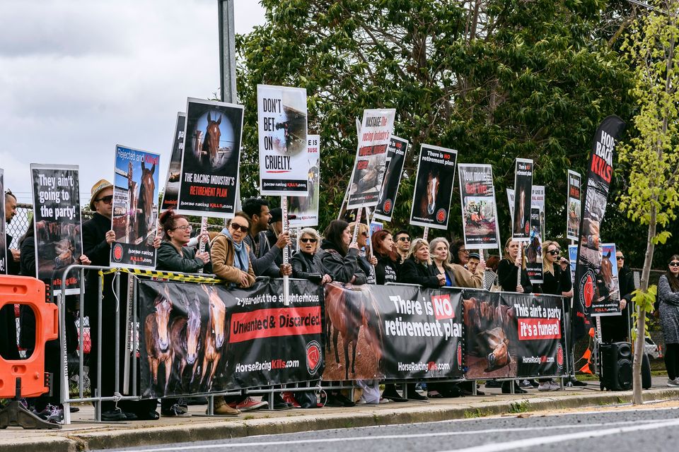 Coalition for the Protection of Racehorses
