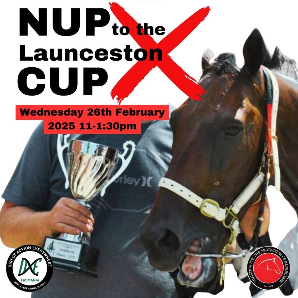Coalition for the Protection of Racehorses