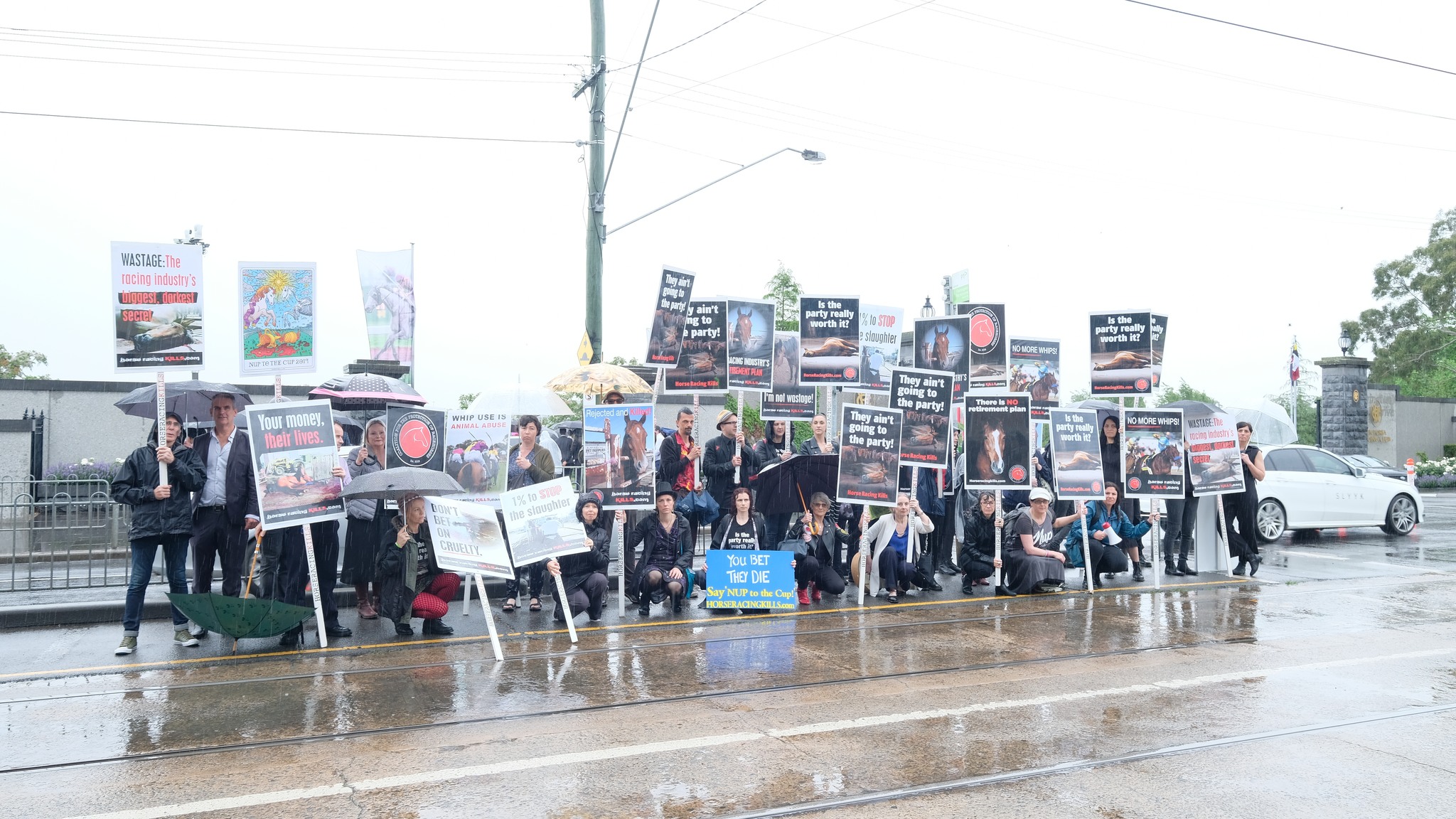 Coalition for the Protection of Racehorses
