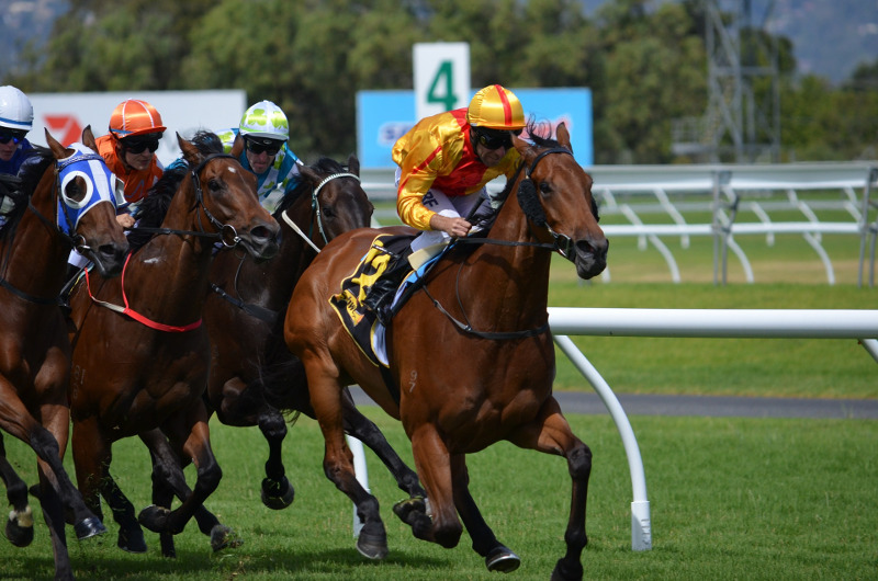 Coalition for the Protection of Racehorses