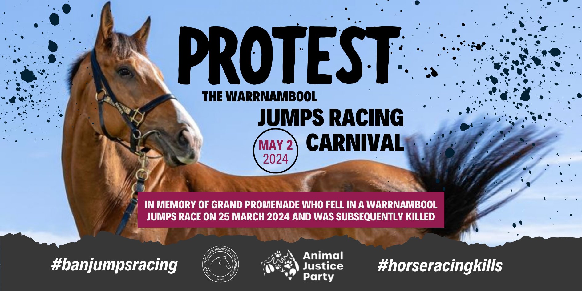 Coalition for the Protection of Racehorses