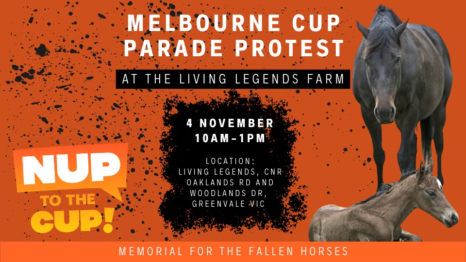 Coalition for the Protection of Racehorses
