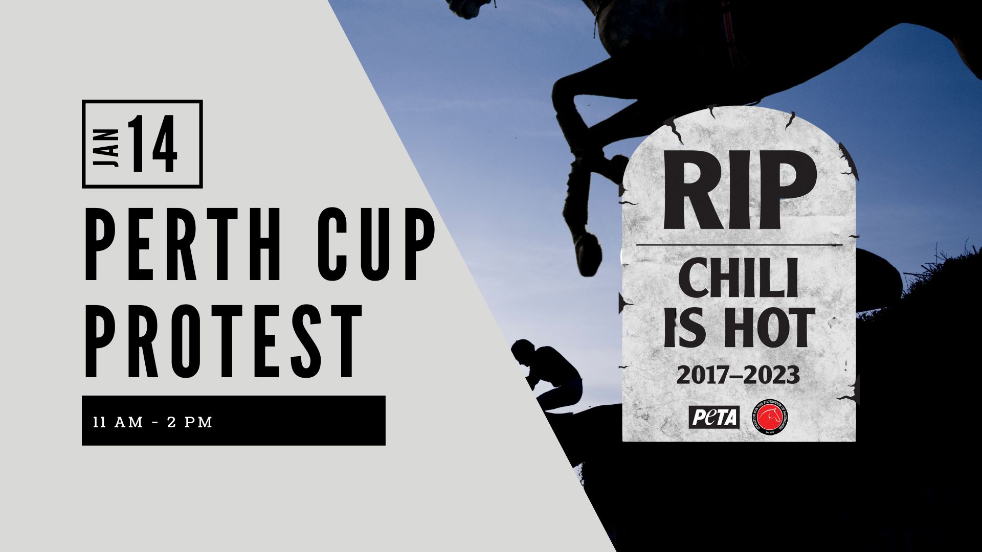 Coalition for the Protection of Racehorses