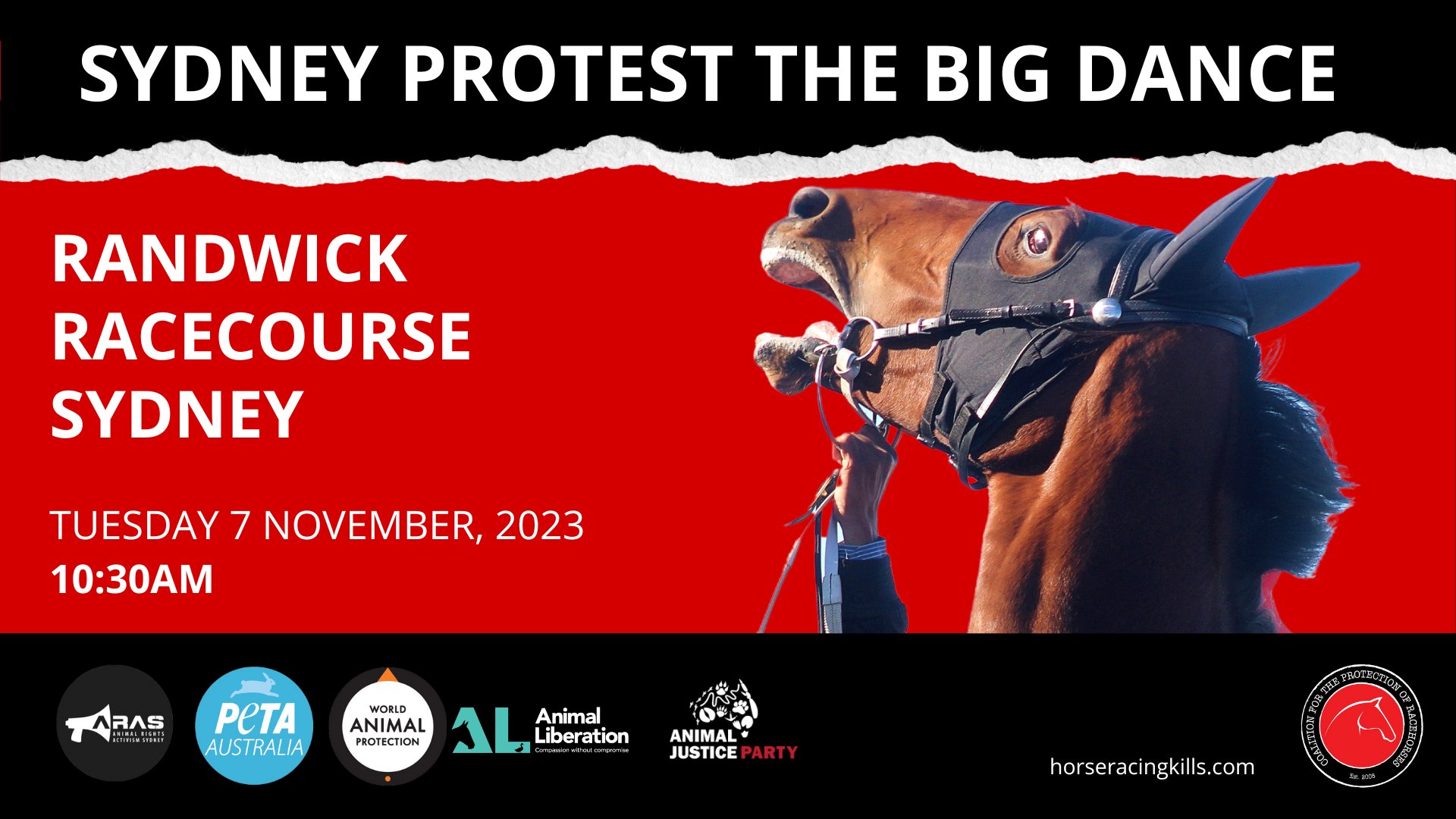 Coalition for the Protection of Racehorses