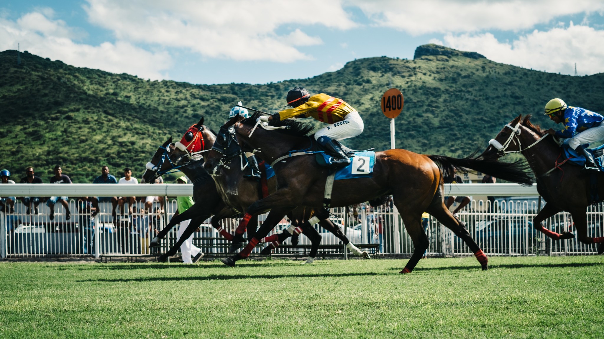 Coalition for the Protection of Racehorses