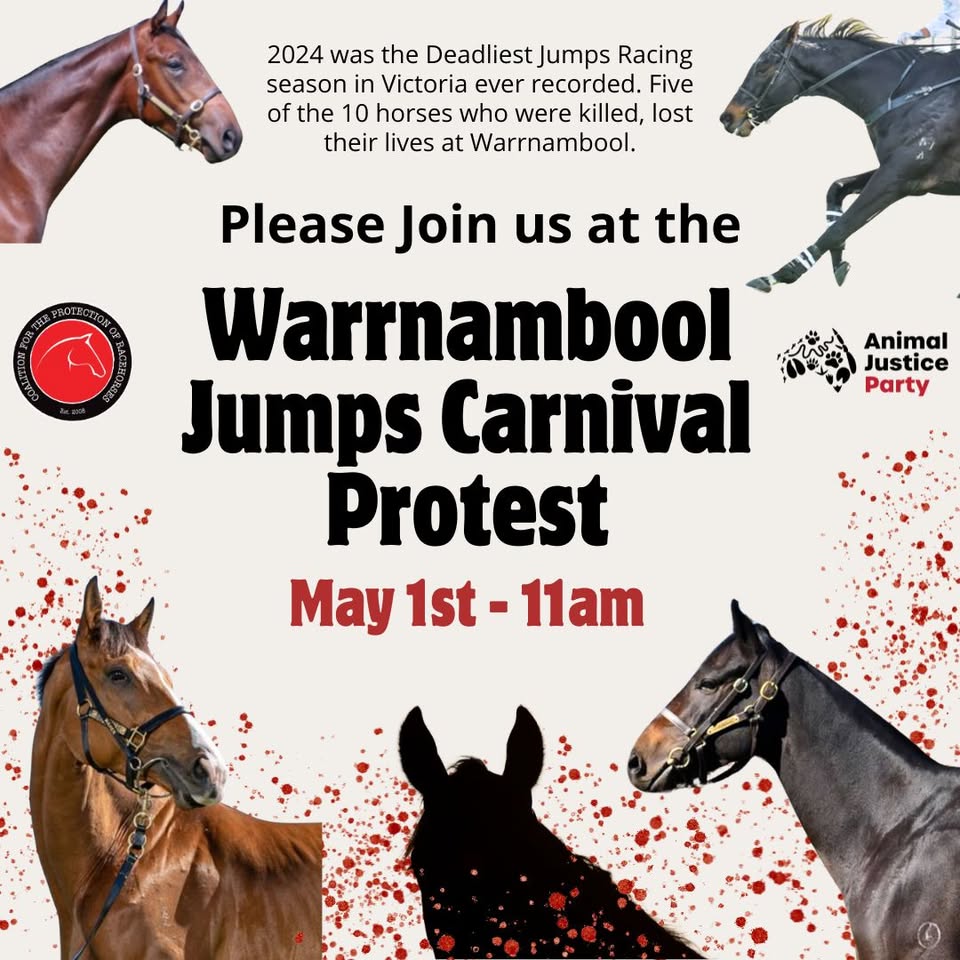 Coalition for the Protection of Racehorses