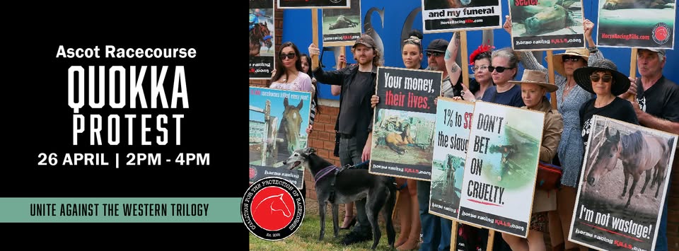 Coalition for the Protection of Racehorses