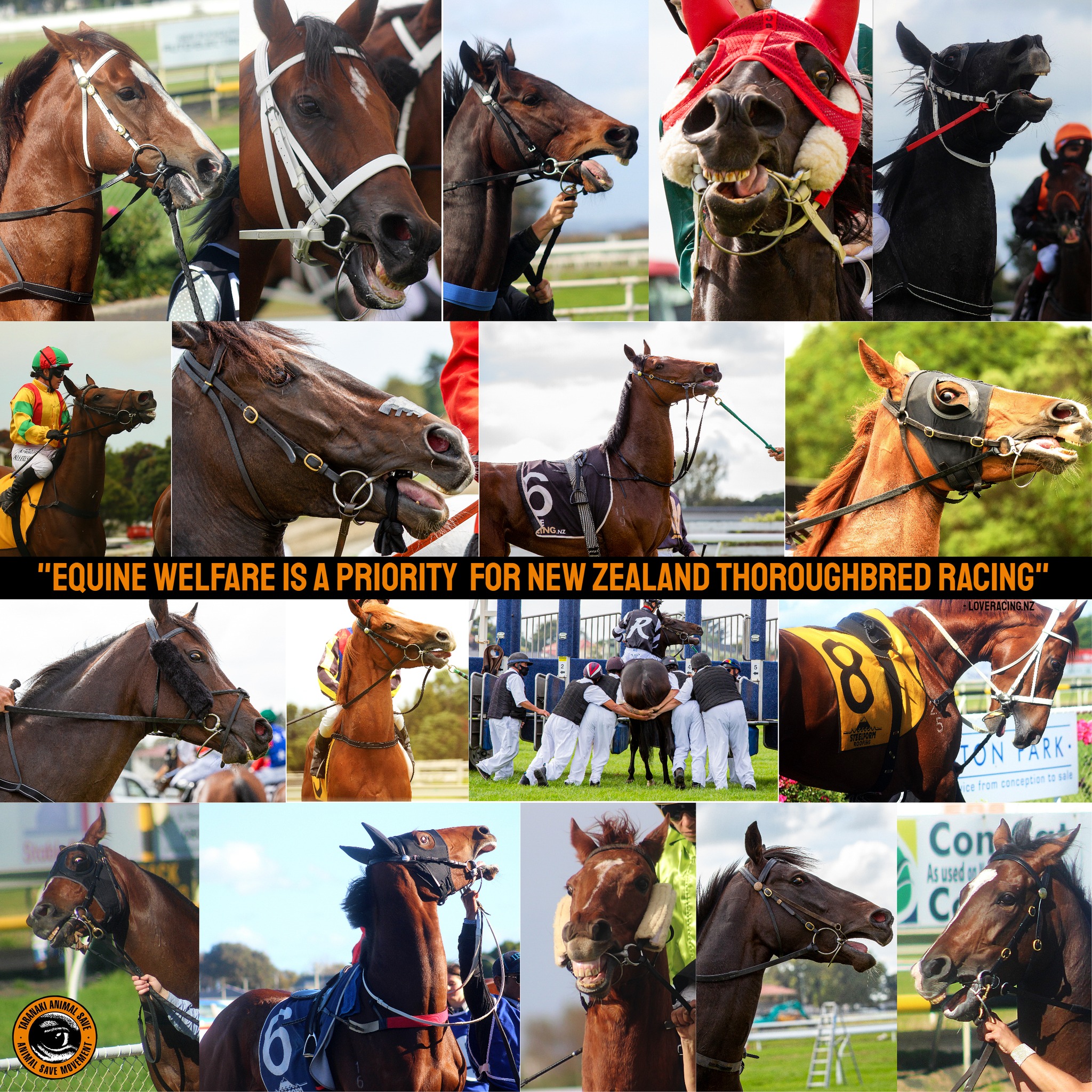 Coalition for the Protection of Racehorses