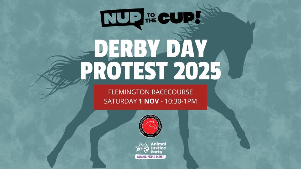Coalition for the Protection of Racehorses