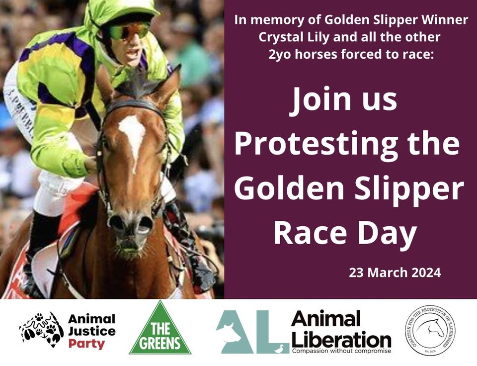 Animal Justice Party NSW