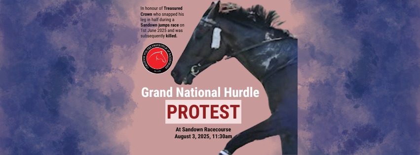 Coalition for the Protection of Racehorses