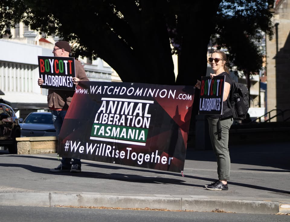 Coalition for the Protection of Racehorses