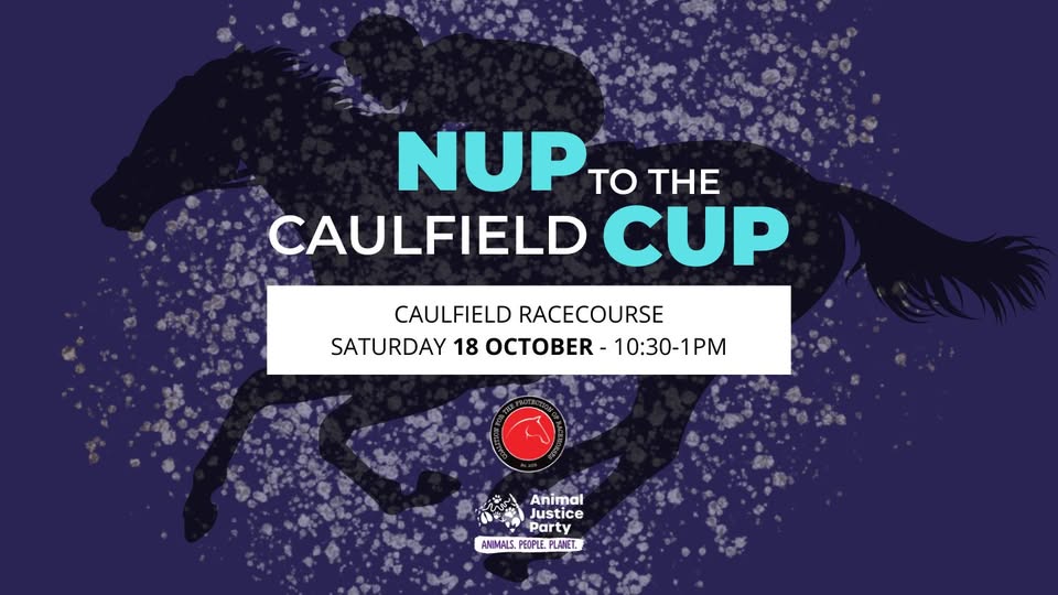 Coalition for the Protection of Racehorses