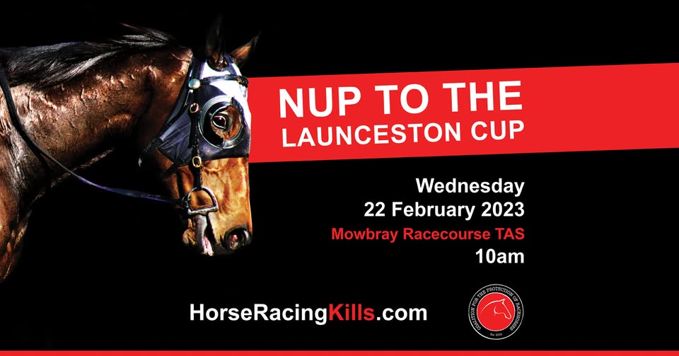 Coalition for the Protection of Racehorses