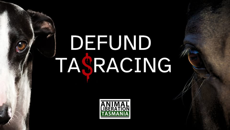 Coalition for the Protection of Racehorses