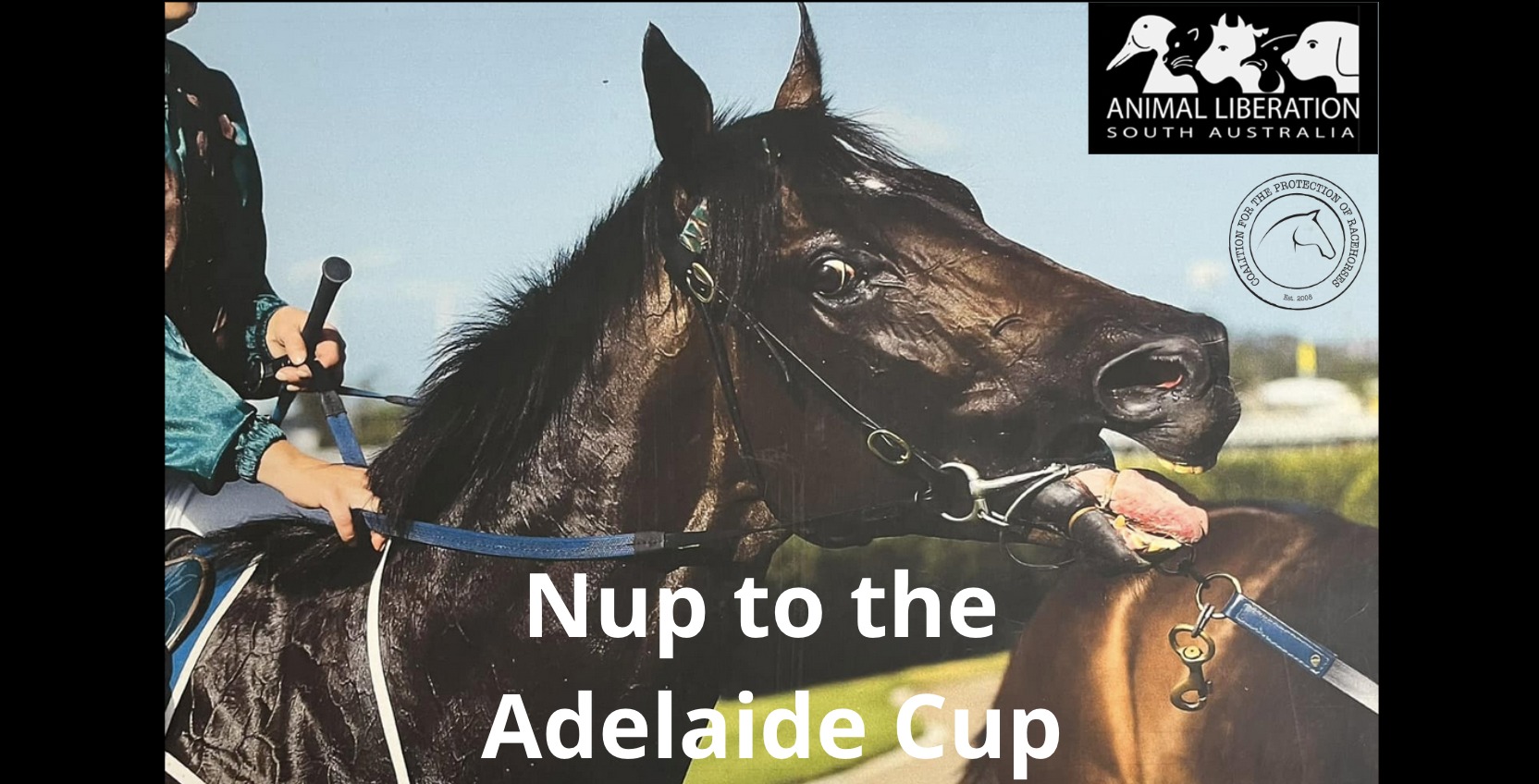 Coalition for the Protection of Racehorses