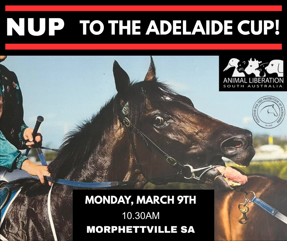 Coalition for the Protection of Racehorses