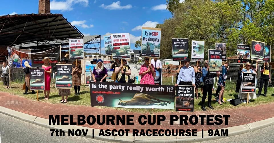 Coalition for the Protection of Racehorses