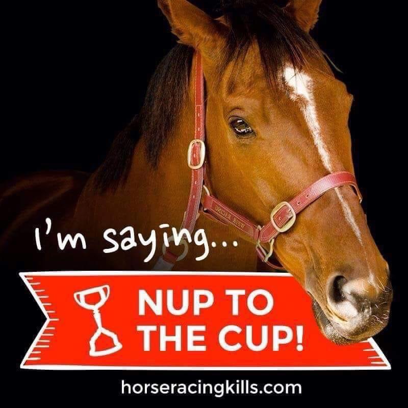 Coalition for the Protection of Racehorses