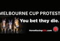 Coalition for the Protection of Racehorses