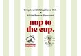Coalition for the Protection of Racehorses